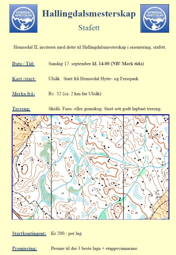 Hallingdalsmesterskap stafett